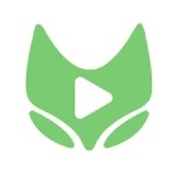 麻豆网站APP应用