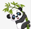 WWW,800se·COM网站APPAPP应用